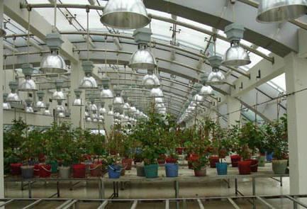 江南電子儀器廠 創新引領，打造電子設備智造新高地